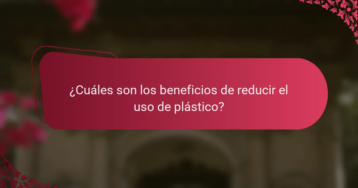 ¿Cuáles son los beneficios de reducir el uso de plástico?